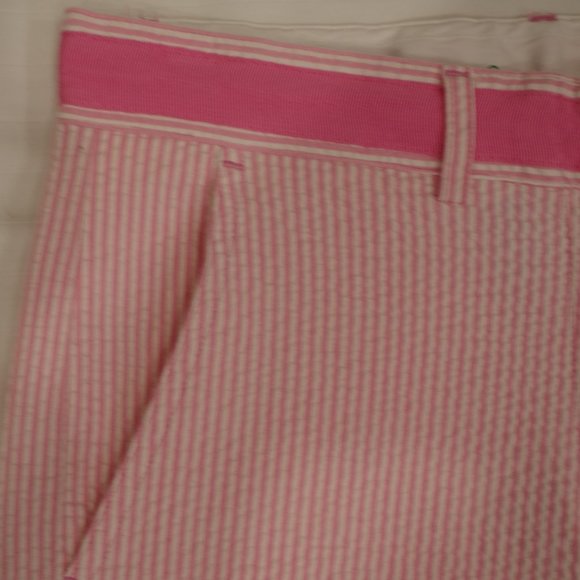 Lilly Pulitzer Stretch Cotton Pinstripe Pant- Sz. 0 - Picture 3 of 4